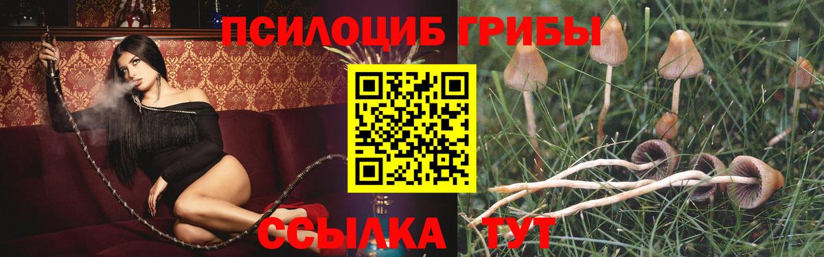 Галлюциногенные грибы Cubensis  Вход с VPN  Тольятти 